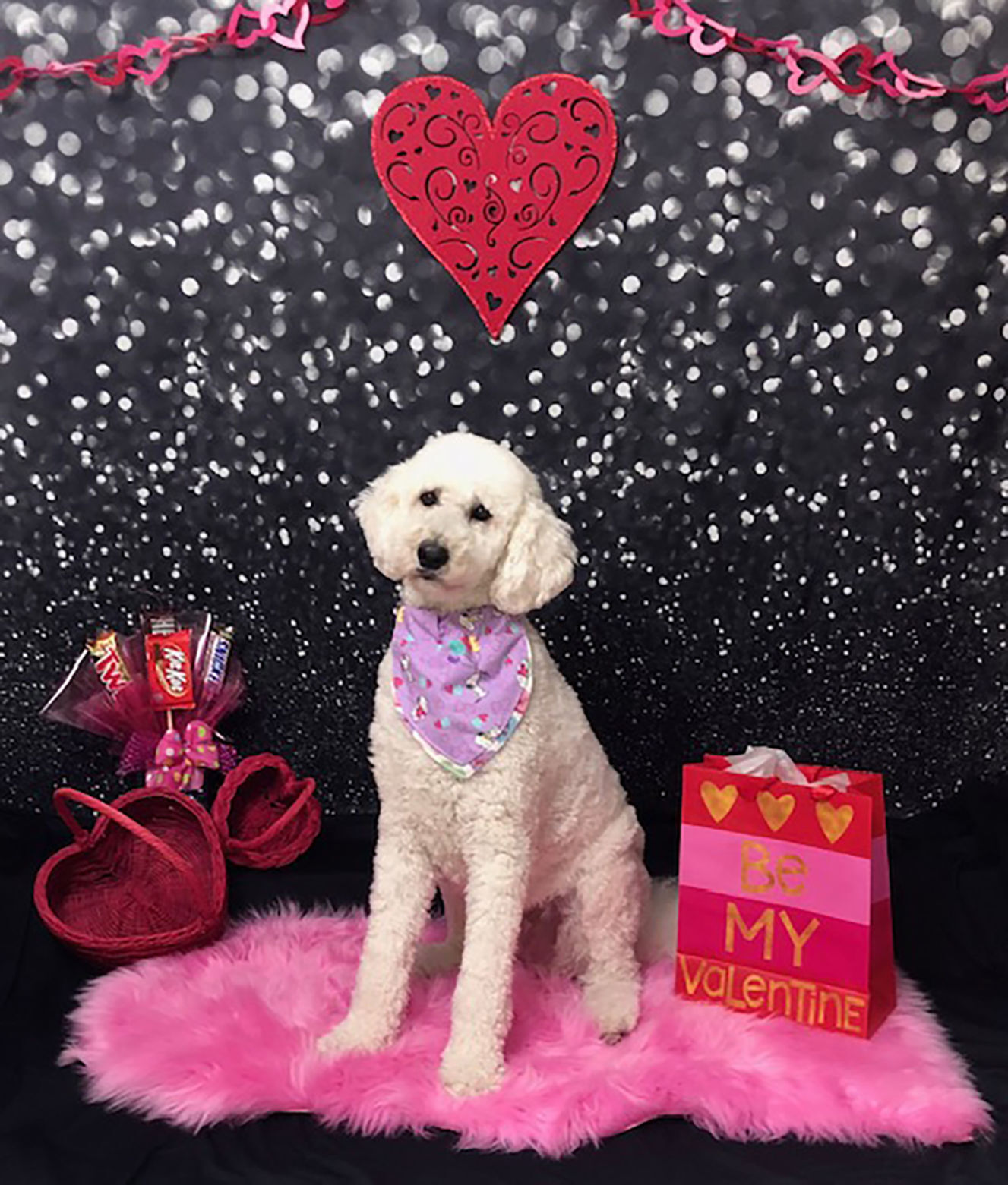 Valentine's Day